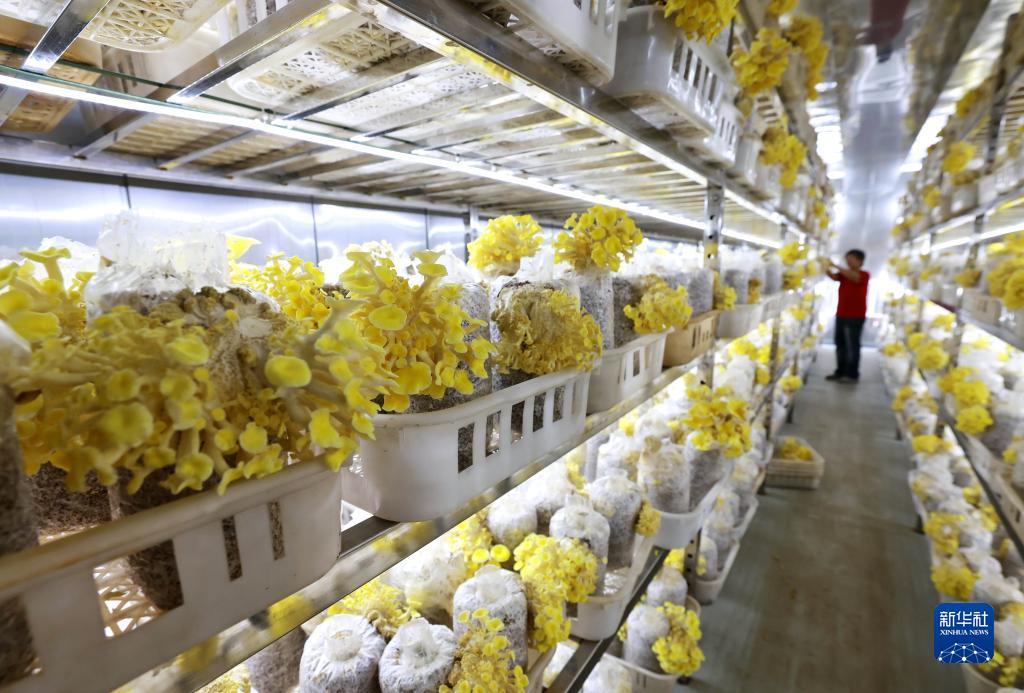 十博体育在线登录